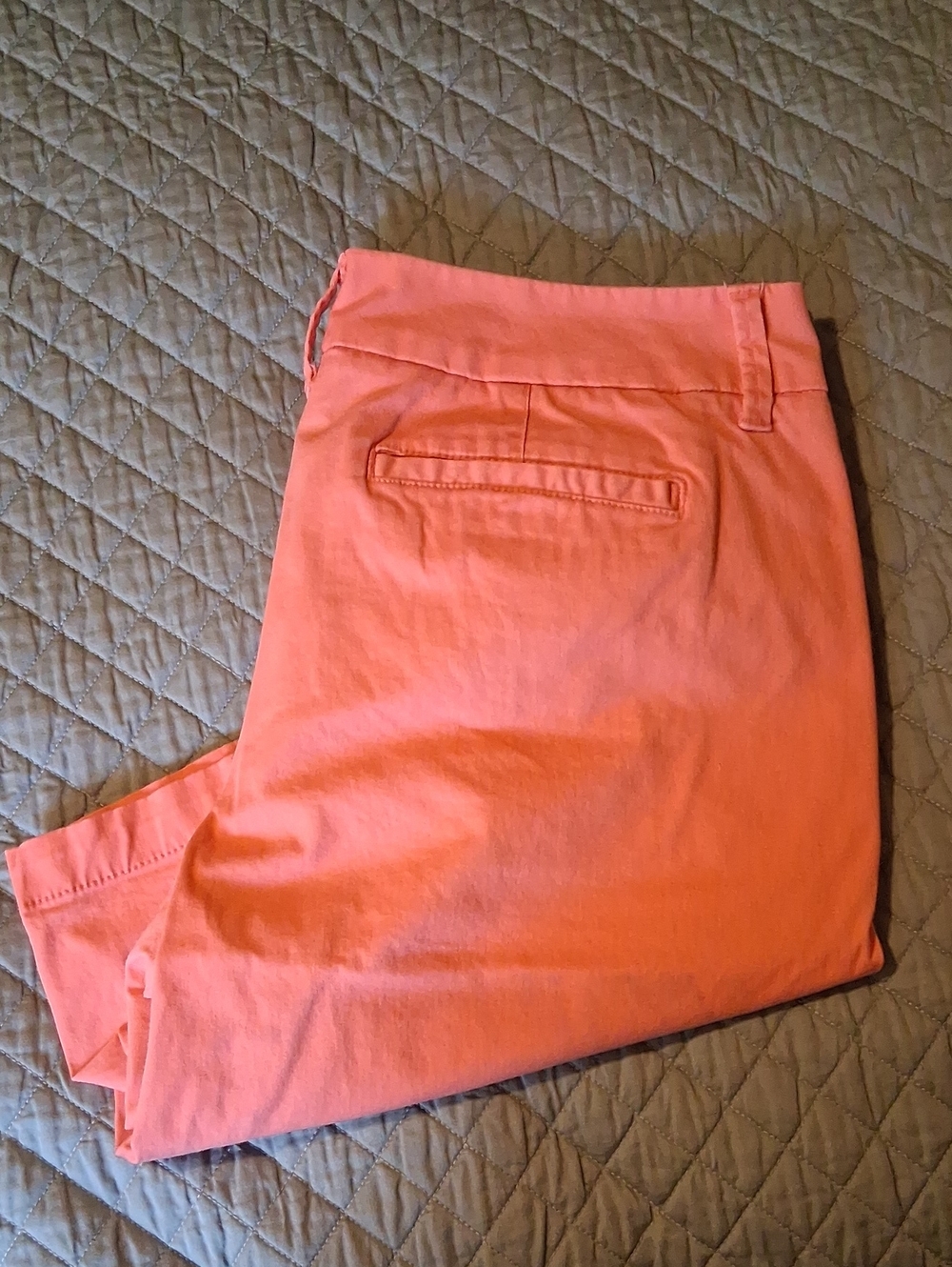 Stylus Coral Bermuda Shorts